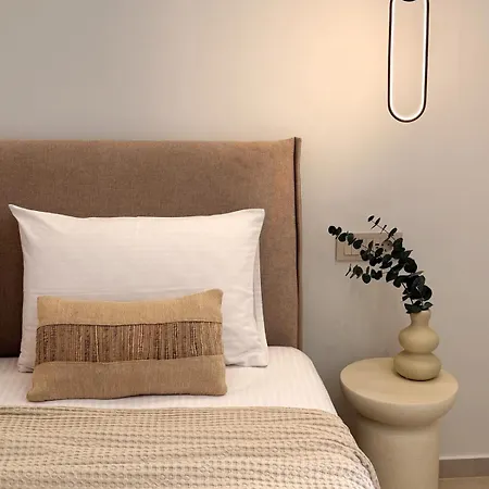 Apartment Brand New Modern Studio- Hidden Gem Argassi